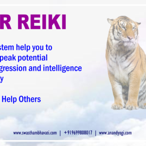 Tiger Reiki