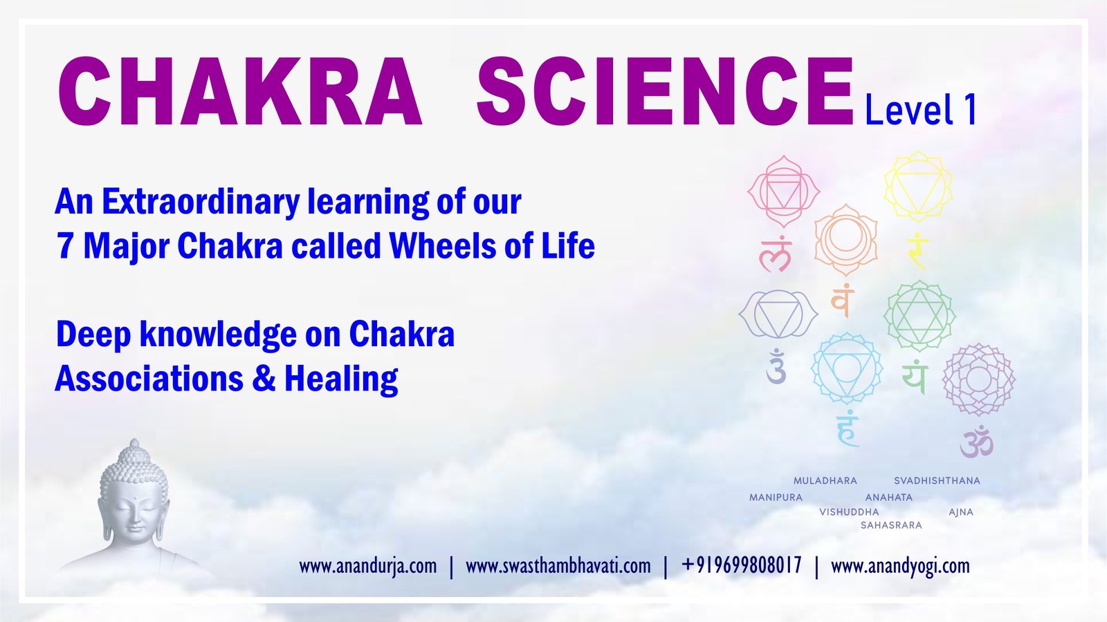 Chakra Science Level 1